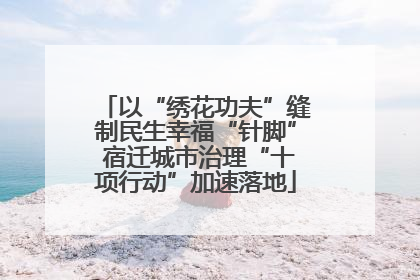以“绣花功夫”缝制民生幸福“针脚” 宿迁城市治理“十项行动”加速落地